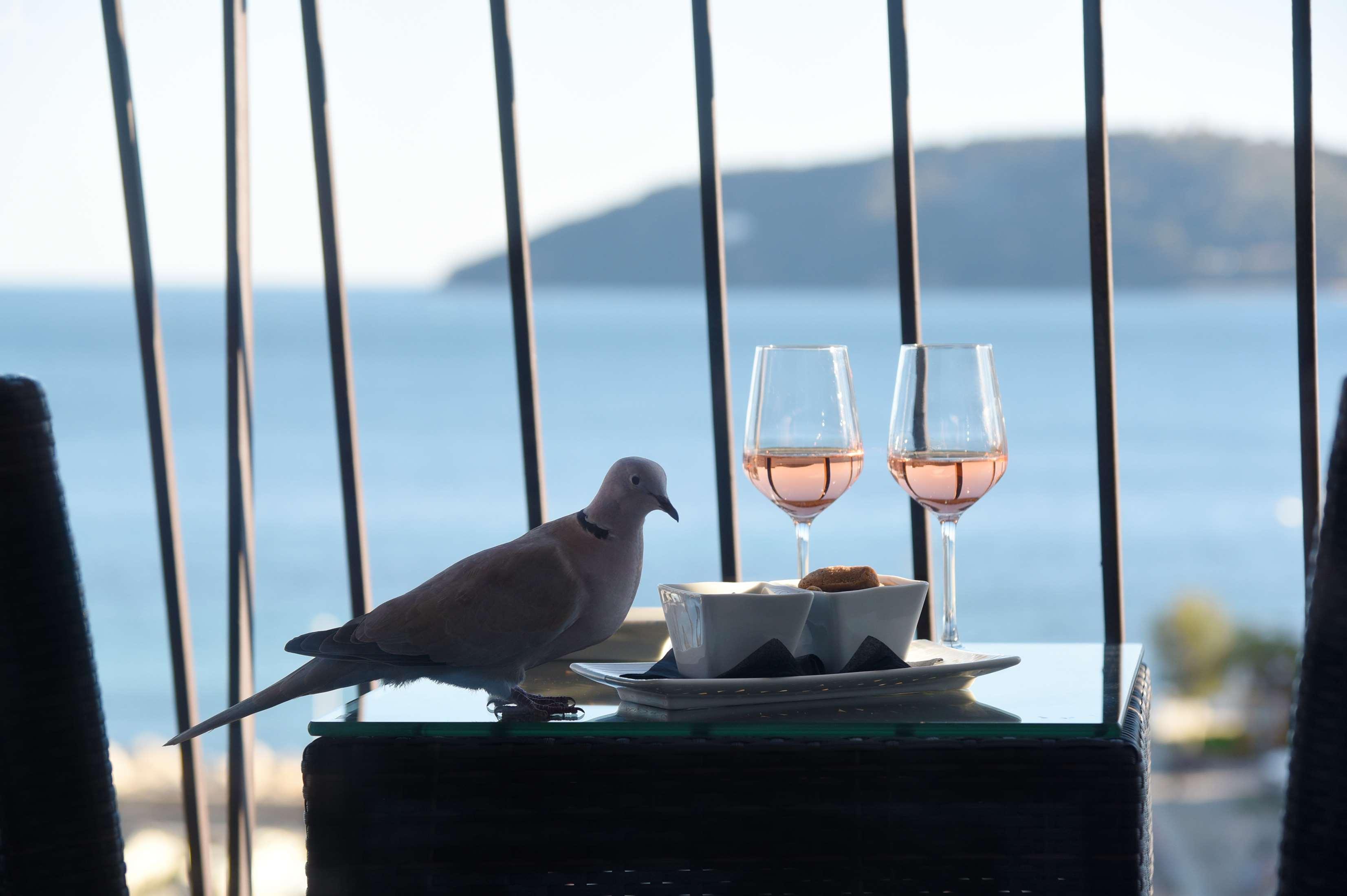 Best Western Plus La Corniche Toulon Dış mekan fotoğraf
